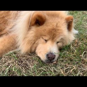 Meet your Posher, Muriel